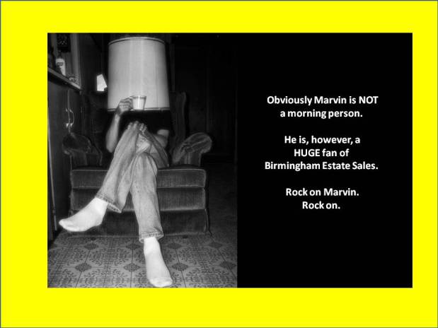 BIRMINGHAM ESTATE SALES is in BUSH HILL (Bham)! Join&nbsp;us!