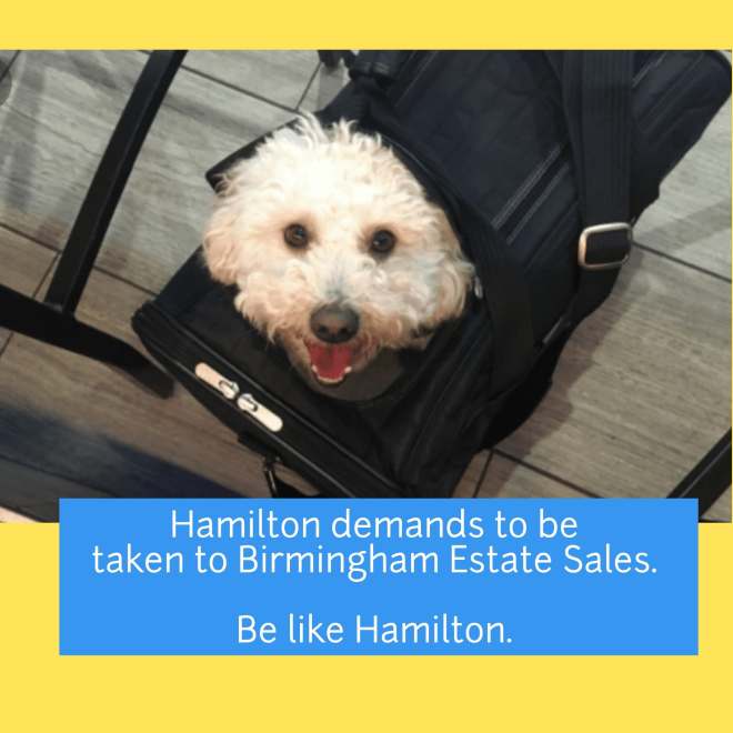 67271934_733837093719814_9084783393652080640_n