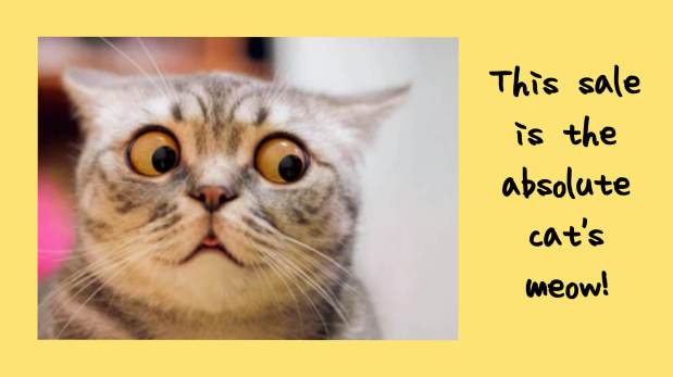 50% OFF!BIRMINGHAM ESTATE SALES is in MOUNTAIN BROOK for 2 days! Remains of moving&nbsp;sale!!